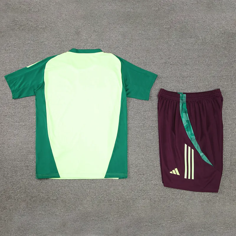 2024 Mexico Training Soccer Jerseys Football Shirts 1