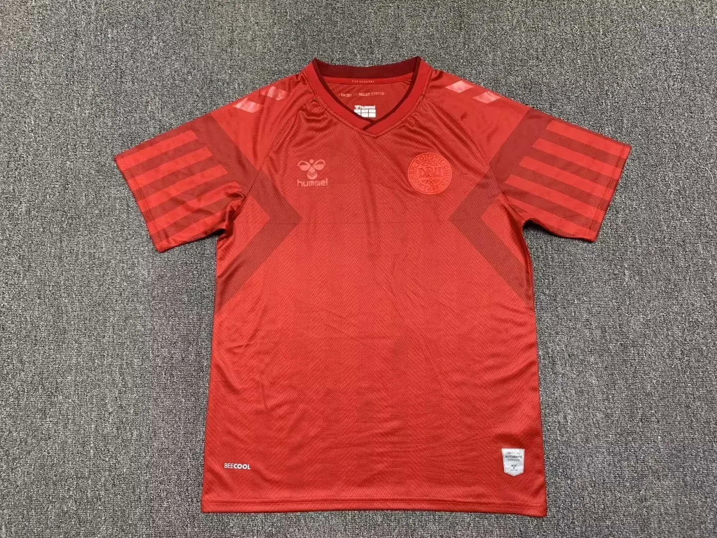 2022 Denmark home 3