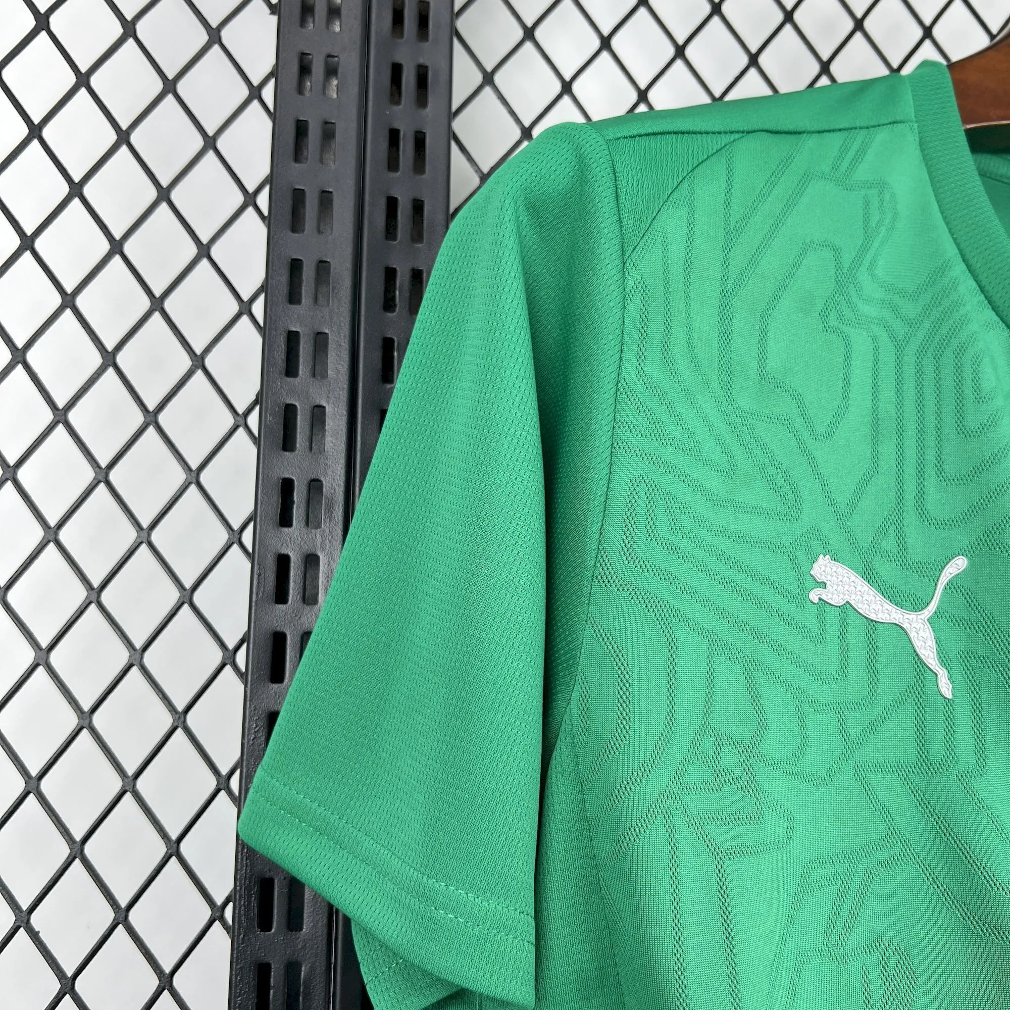 25-26 Palmeiras Training Kit Soccer T-Shirt AAAAJersey Supply Yupoo 4