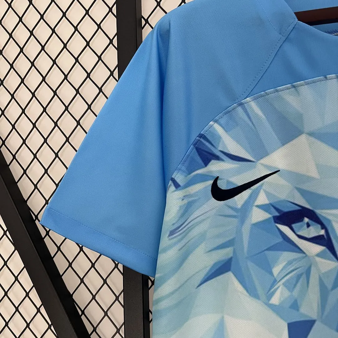 2024 Netherlands Lion Kit Special Edition Shirt Best Jerseys Yupoo 5