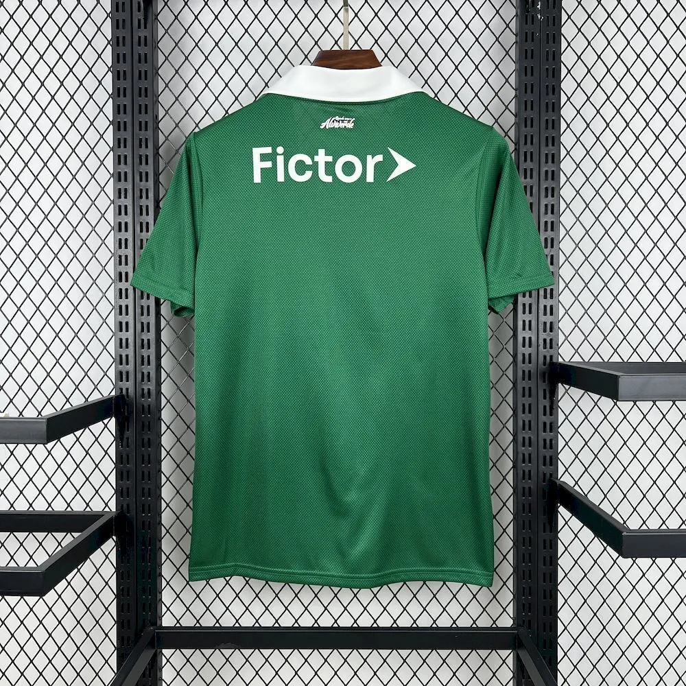 25-26 Palmeiras Special Edition Kit Football T-Shirt AAAAJersey Supply Yupoo 2