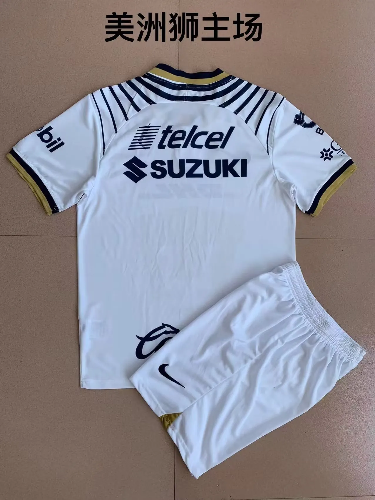 Pumas UNAM 6