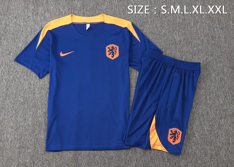 2024 Netherlands Training Soccer Jerseys Football Shirts 1