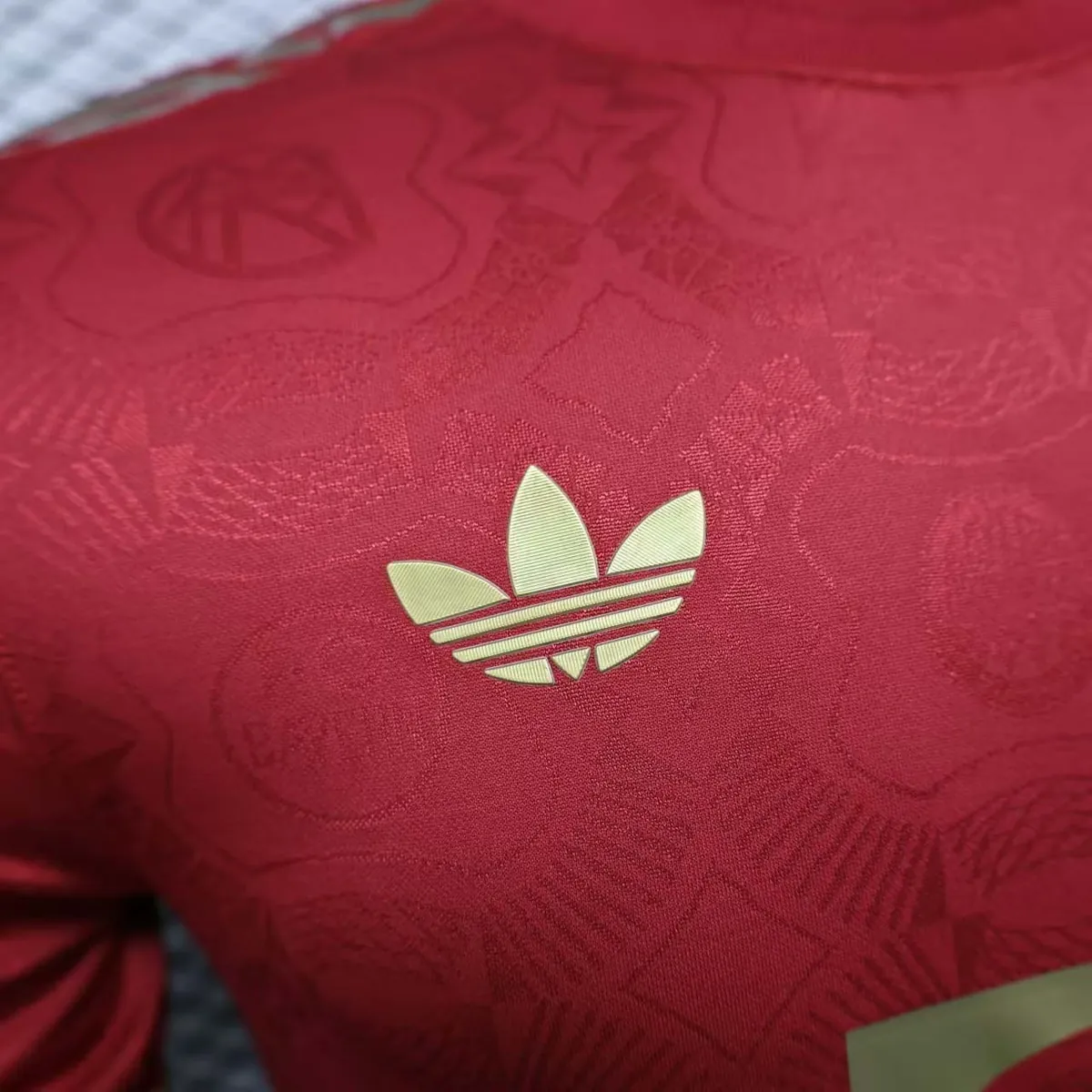 25-26 Bayern Munich 125th Anniversary Commemoration Red Player Version Shirt AAAAJersey Yupoo 1