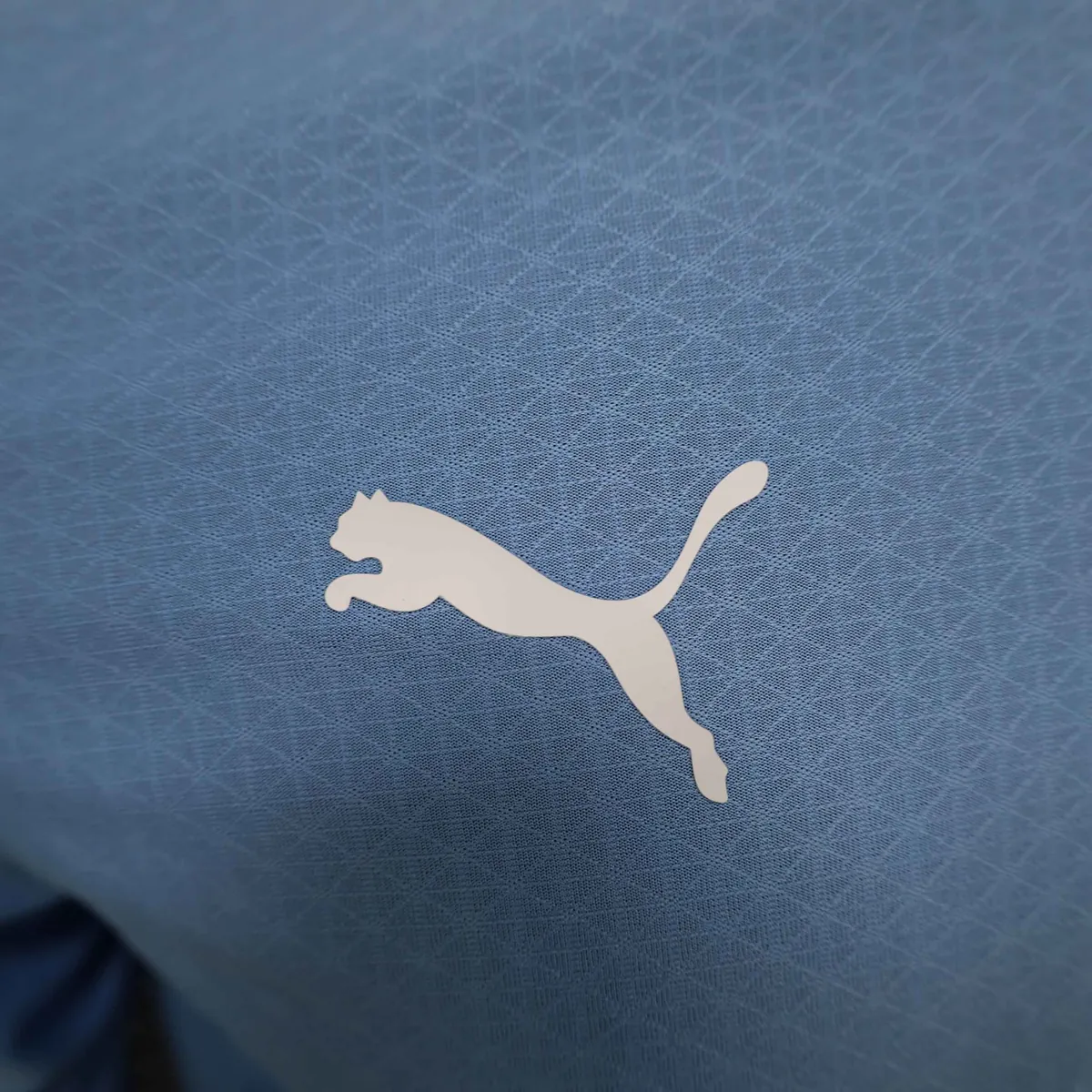 24-25 Manchester City Home Long Sleeve Kit Player Version Shirt AAAAJersey Soccer Yupoo 4