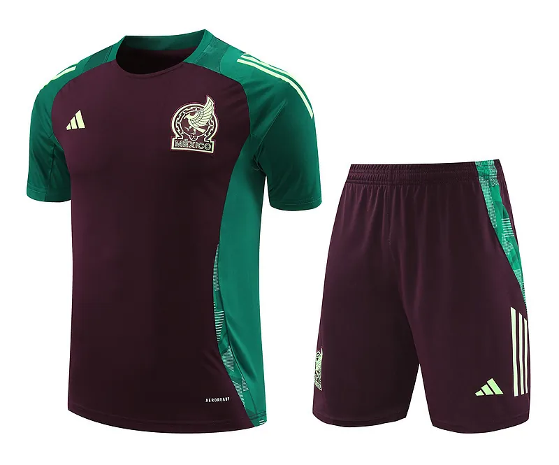 2024 Mexico Training Soccer Jerseys Football Shirts 4