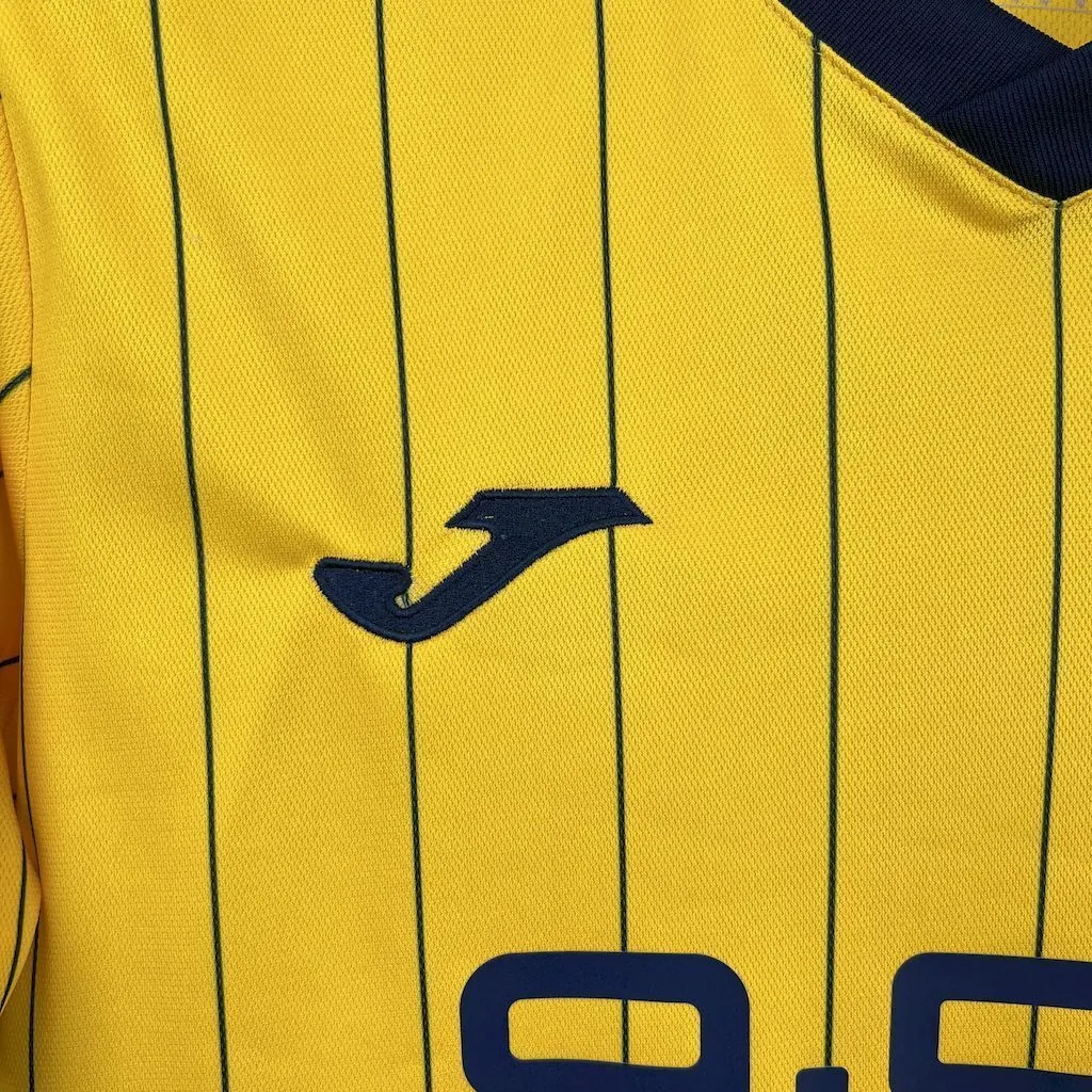 25-26 Hellas Verona 120th Anniversary Edition Football T-Shirt AAAAJersey Supply Yupoo 4