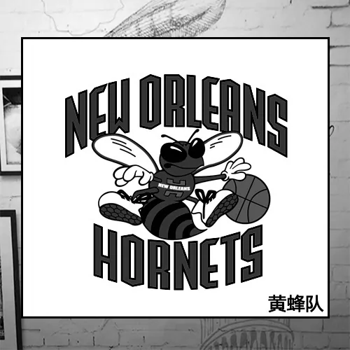 Charlotte Hornets 1