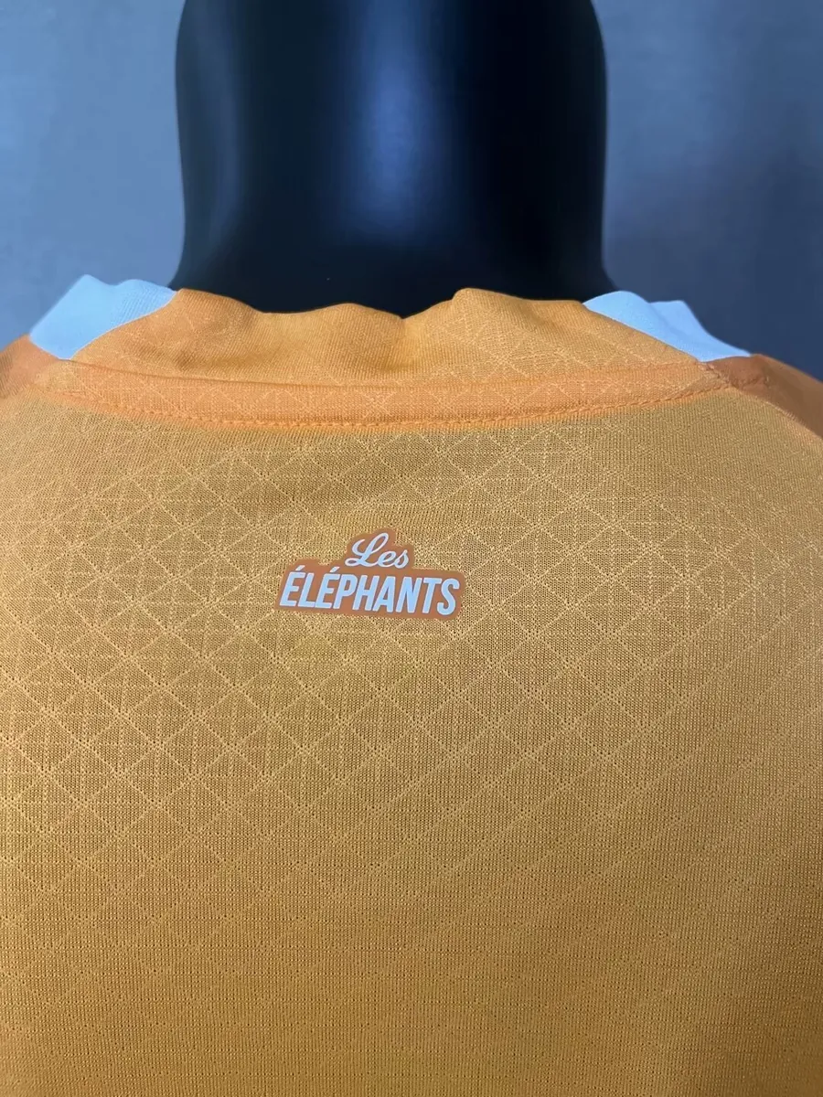 2023 Ivory Coast Home Kit Player Edition Shirts Football AAAAJersey Yupoo 3