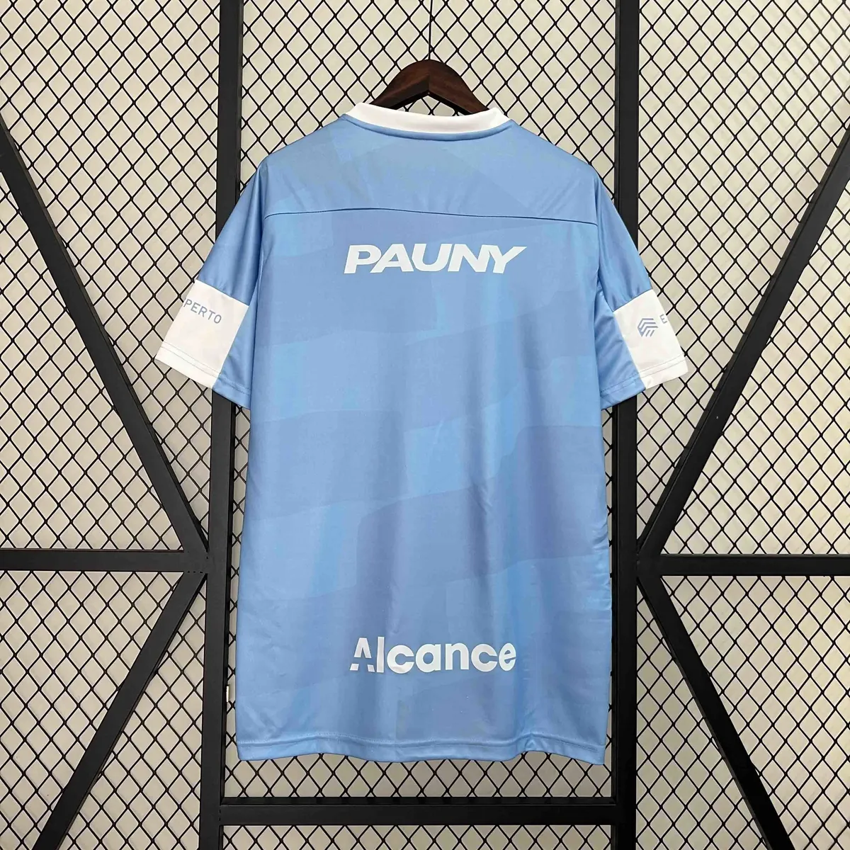 24-25 Belgra Home Kit Sport AAAAJersey Yupoo 4