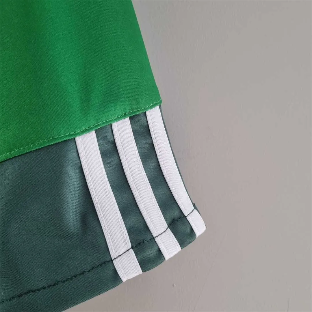 10-11 Palmeiras home 3