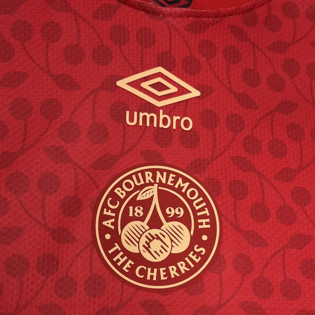 24-25 AFC Bournemouth Alternative Red Special Edition Shirt AAAAJersey Supplier Yupoo 2
