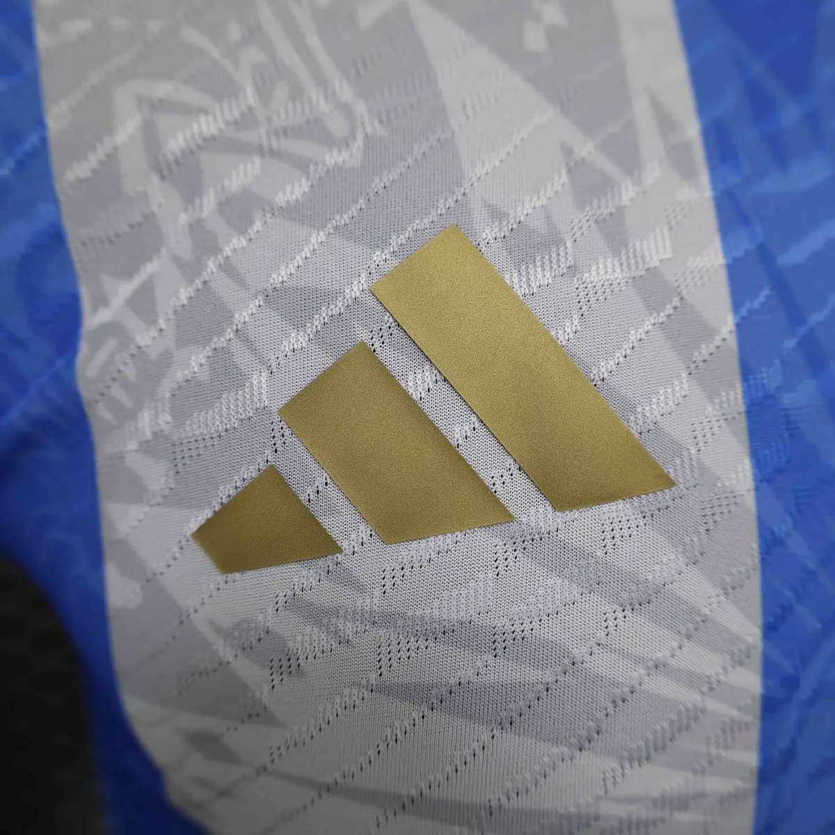 2024 Argentina Limited Marchday Special Edition Player Version Shirt Sport AAAAJersey Yupoo 3