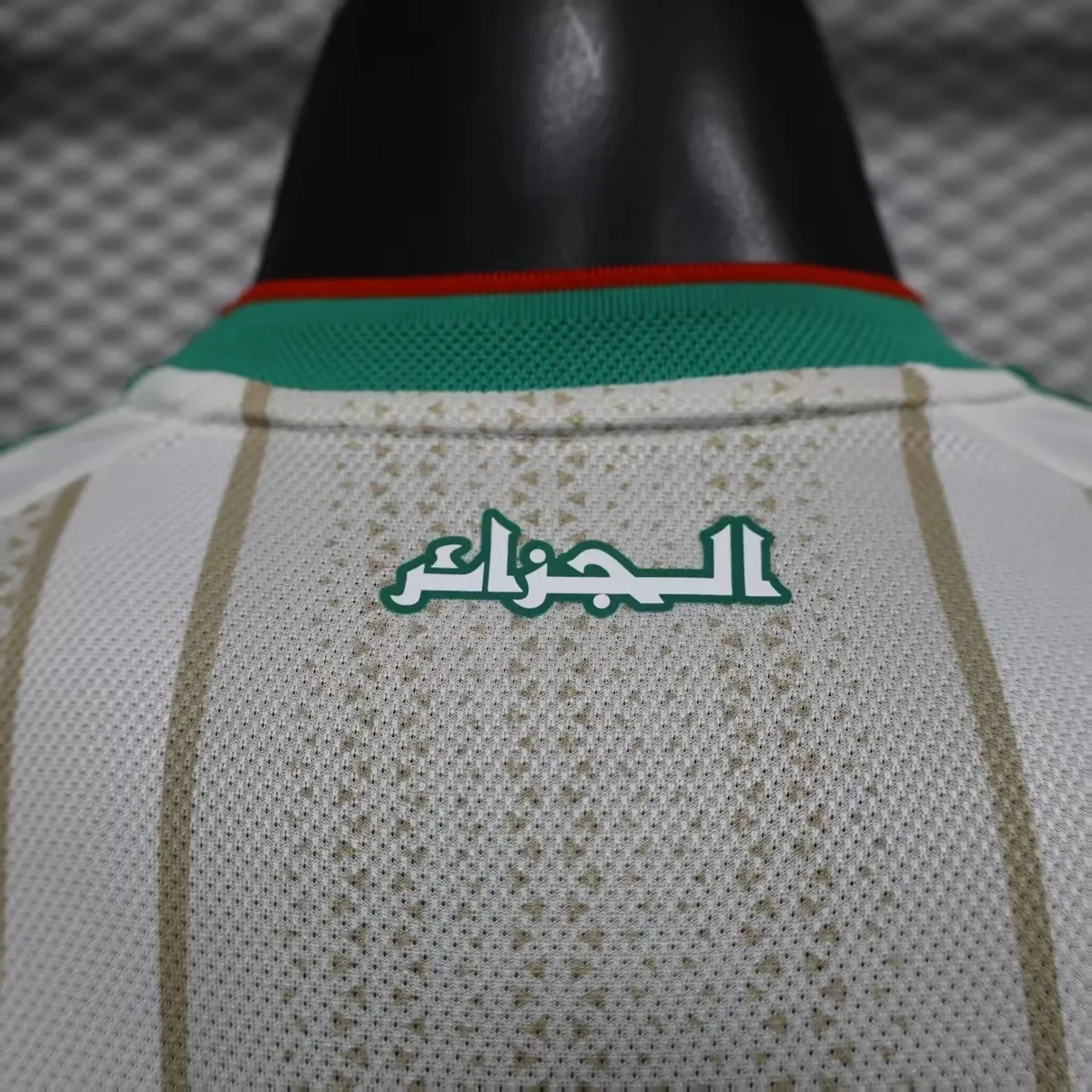 2026 World Cup Algeria Home Kit Football player version T-Shirt AAAAJersey Supply Yupoo 8