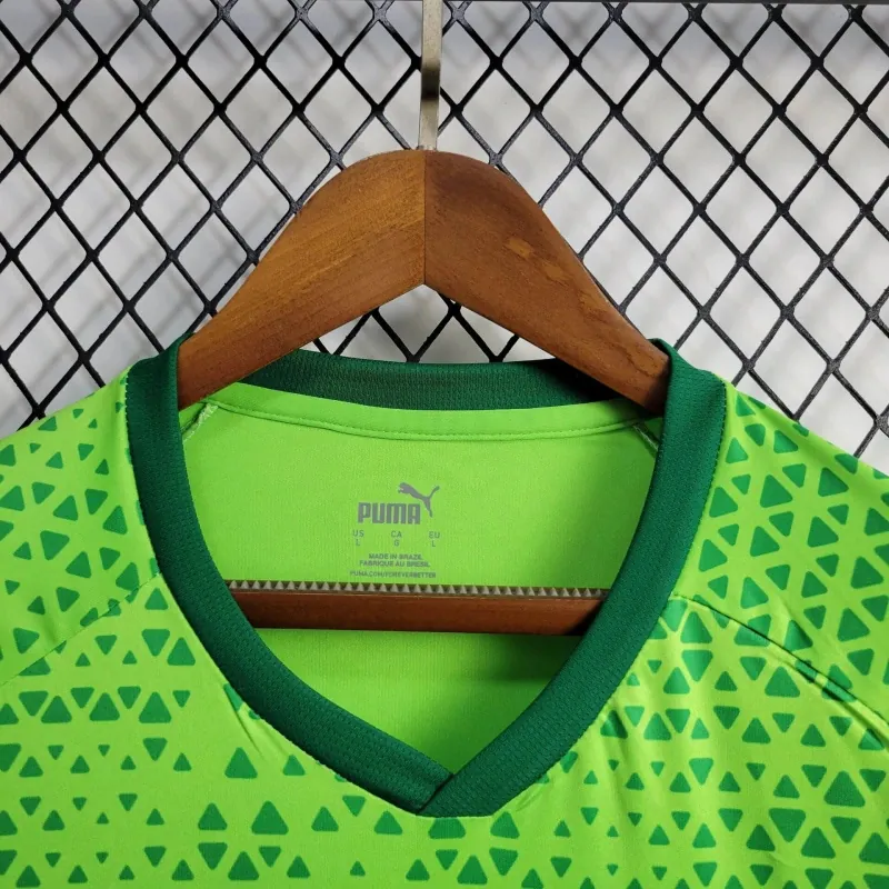 24-25 Palmeiras Training Shirt Football AAAAJersey Yupoo 3