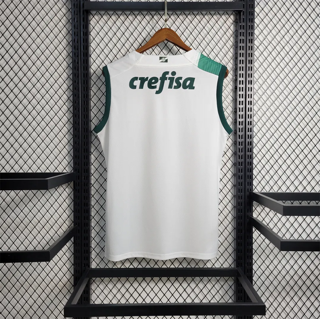 23-24 Palmeiras away tank 9
