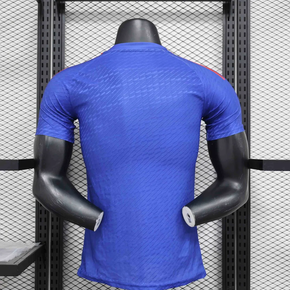 2024 Japan Blue Warrior Special Edition Kit Player Version Shirt Sport AAAAJersey Yupoo 4