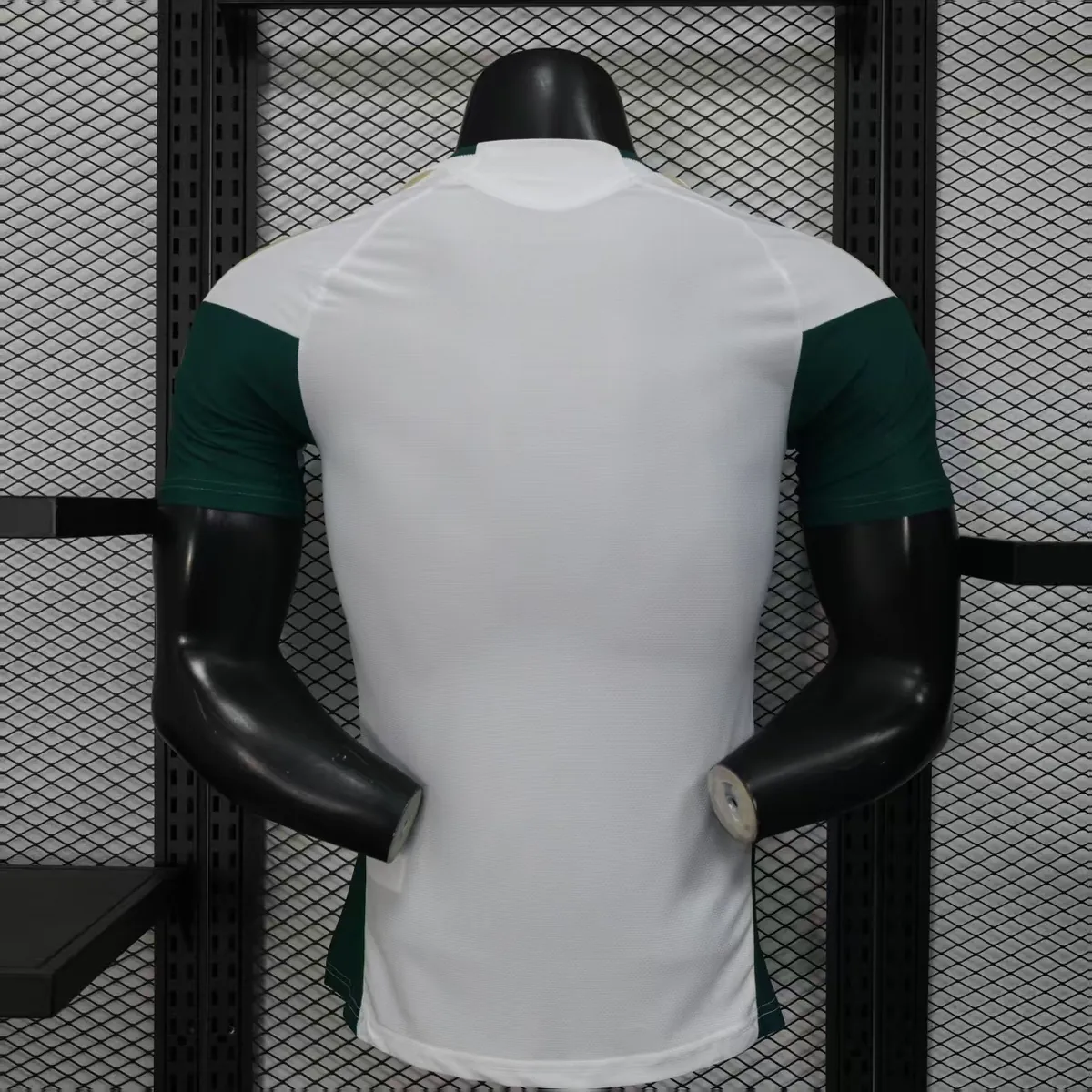2026 Italy Tiro Pre-Match Football Player Version T-Shirt AAAAJersey Supply Yupoo 6
