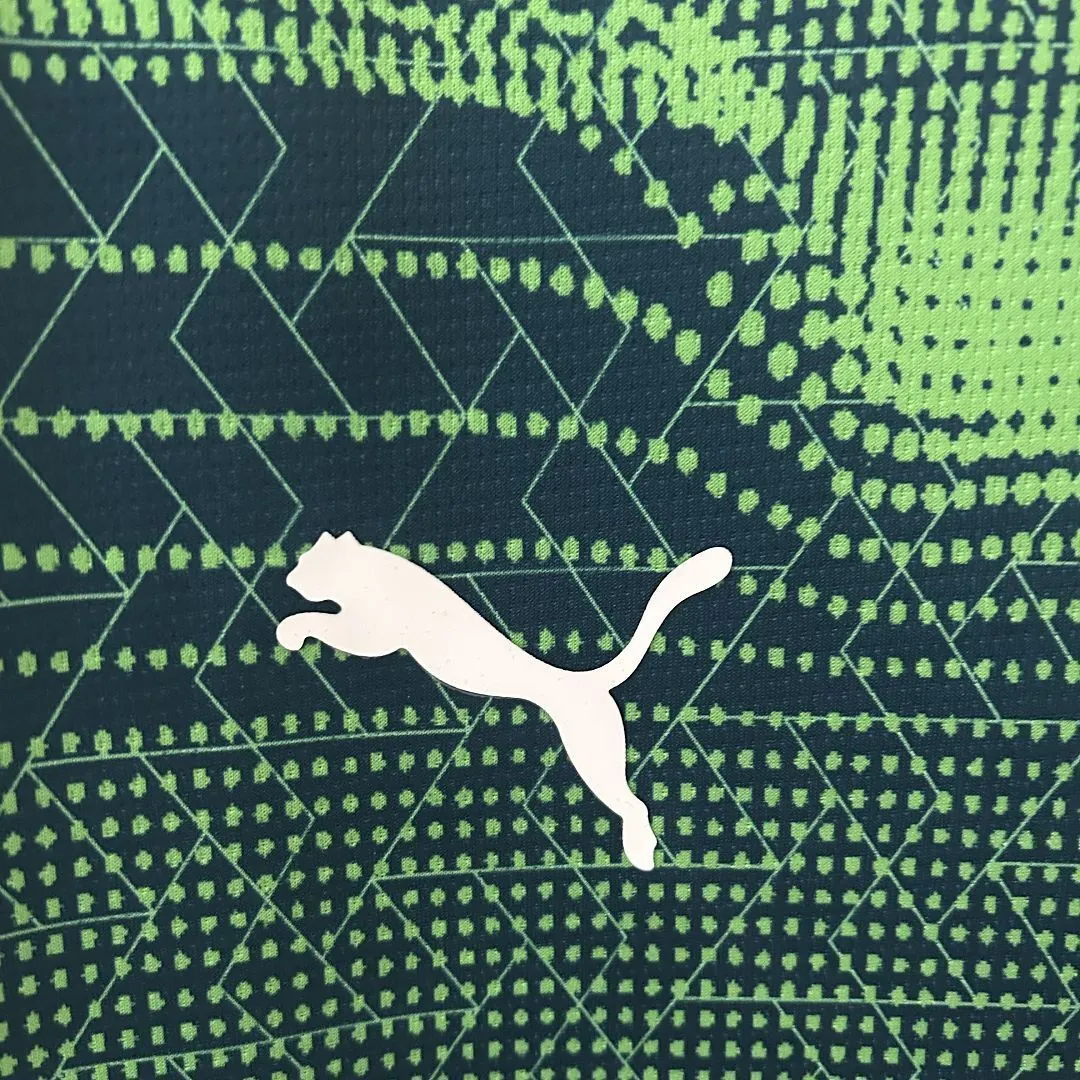 2025 Portugal Green Training Shirt Football Uniform AAAAJersey Dropship Yupoo 1