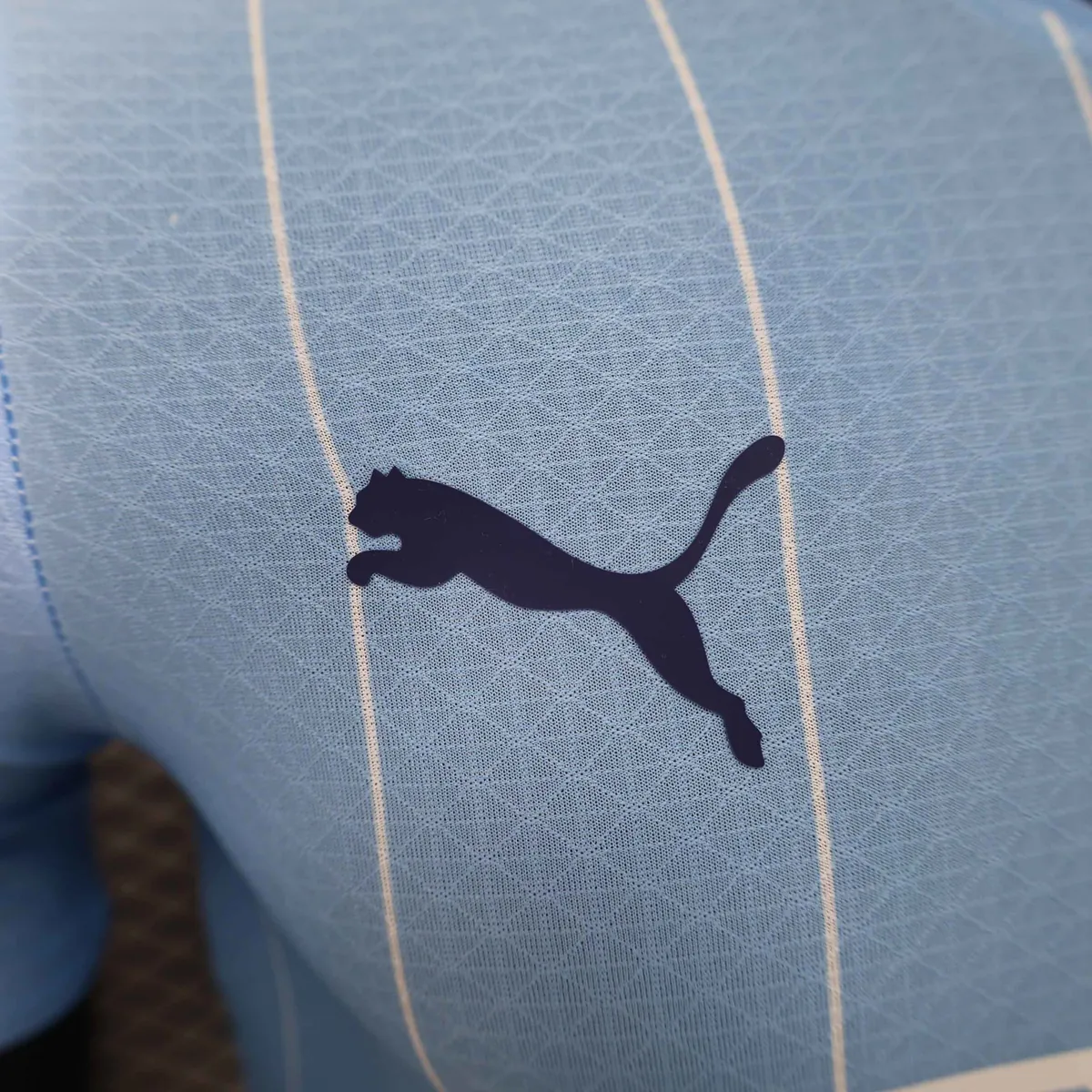 24-25 Manchester City Home Kit Player Version Shirt Soccer Jerseys For Sale 2