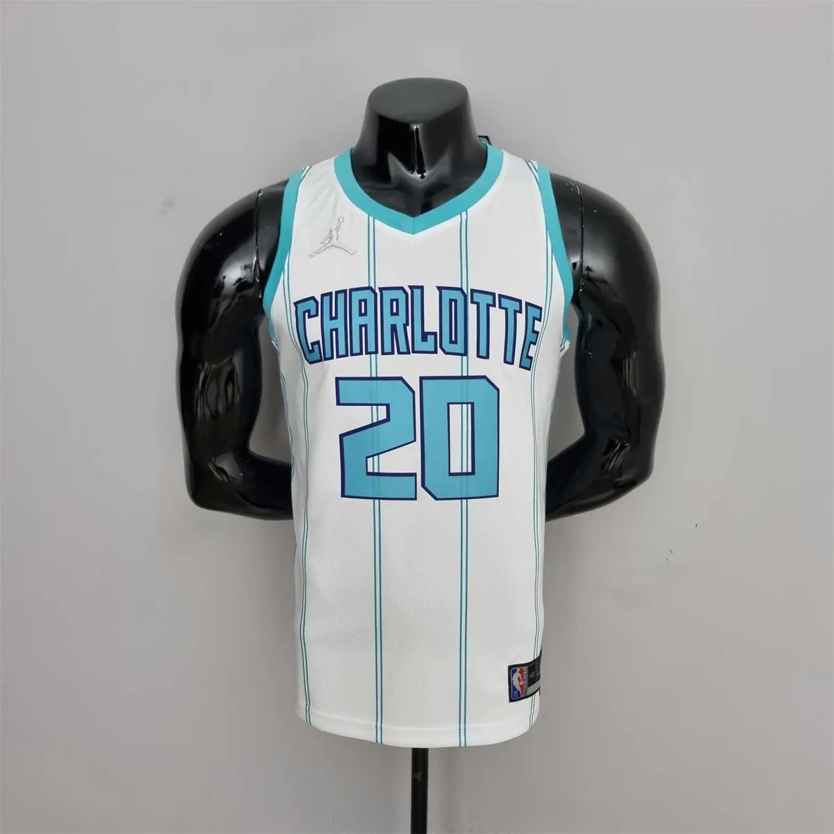 75th Anniversary Hayward #20 Charlotte Hornets White NBA Jersey 10