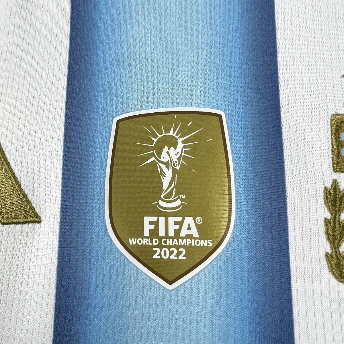 2026 World Cup Argentina Home Kit Football Women T-Shirt AAAAJersey Supply Yupoo 5