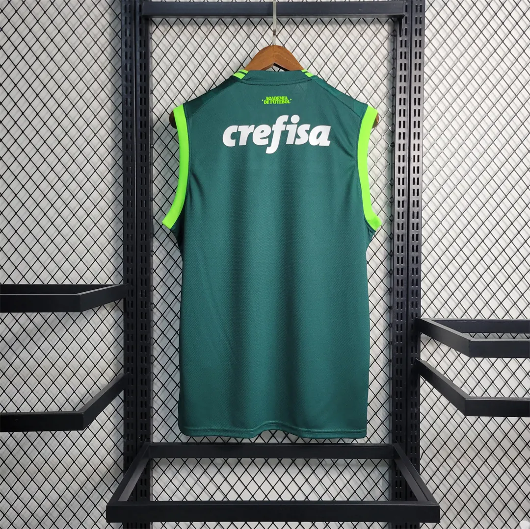 23-24 Palmeiras home tank 6