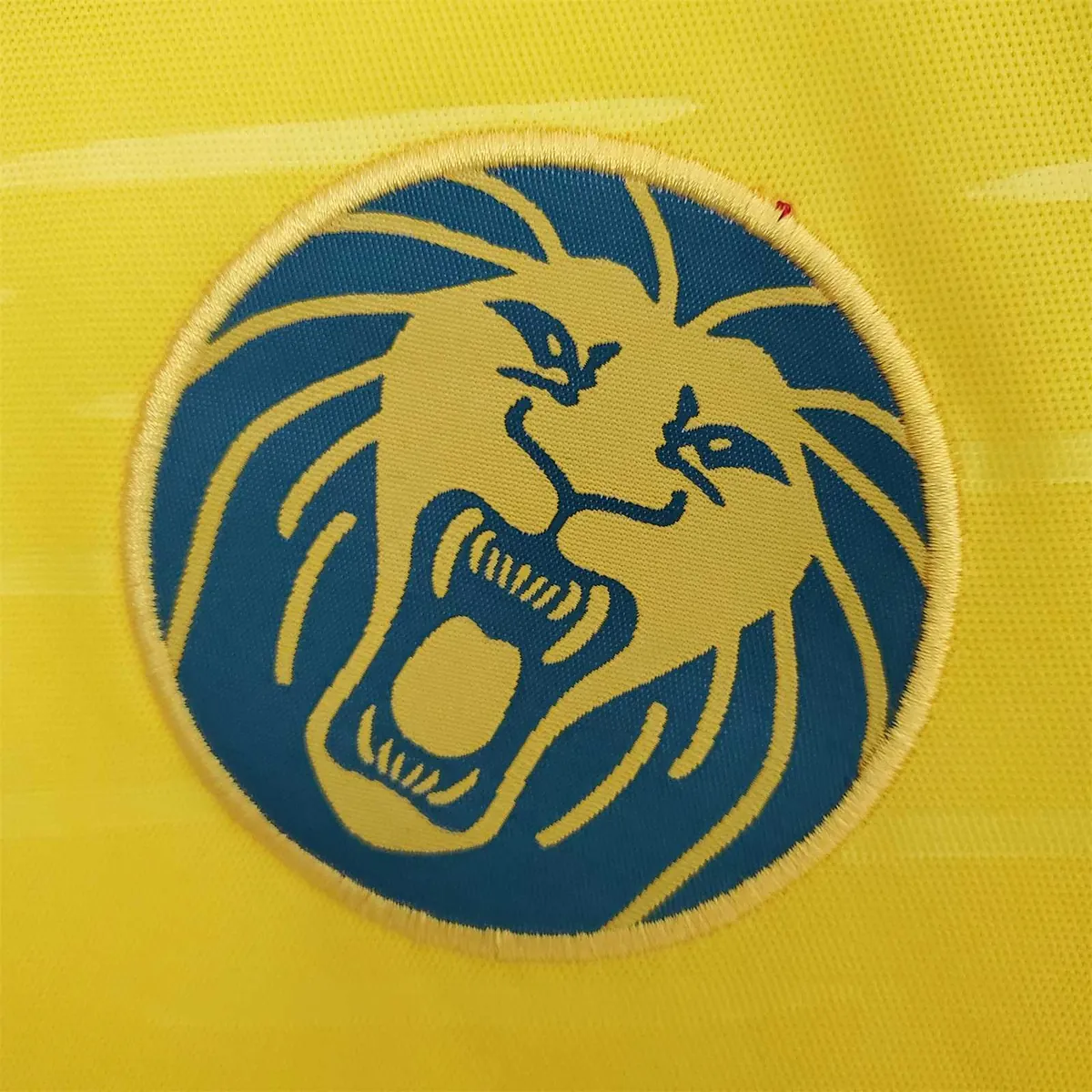 Cameroon yellow 1