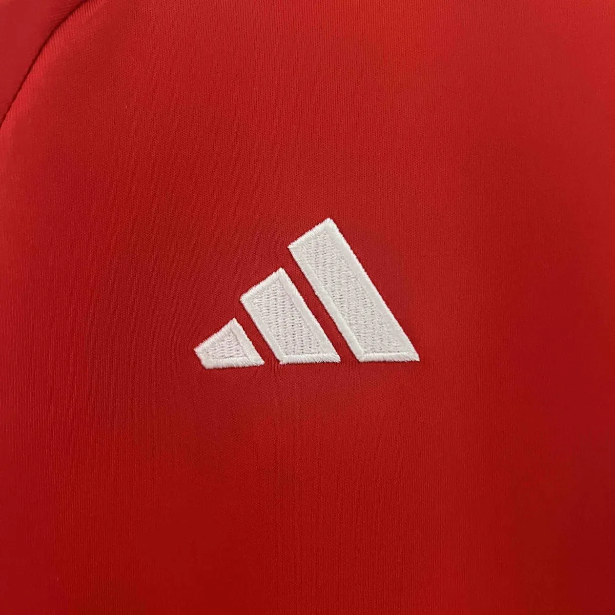 2024 Wales Home Shirt Football AAAAJersey Yupoo 2