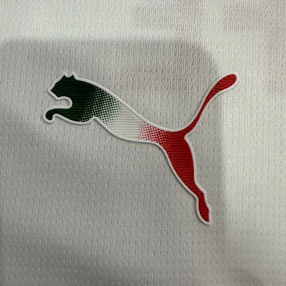 25-26 Chivas Away Kit Football T-Shirt AAAAJersey Supply Yupoo 4