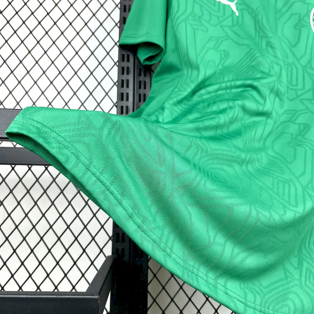 25-26 Palmeiras Training Kit Soccer T-Shirt AAAAJersey Supply Yupoo 1