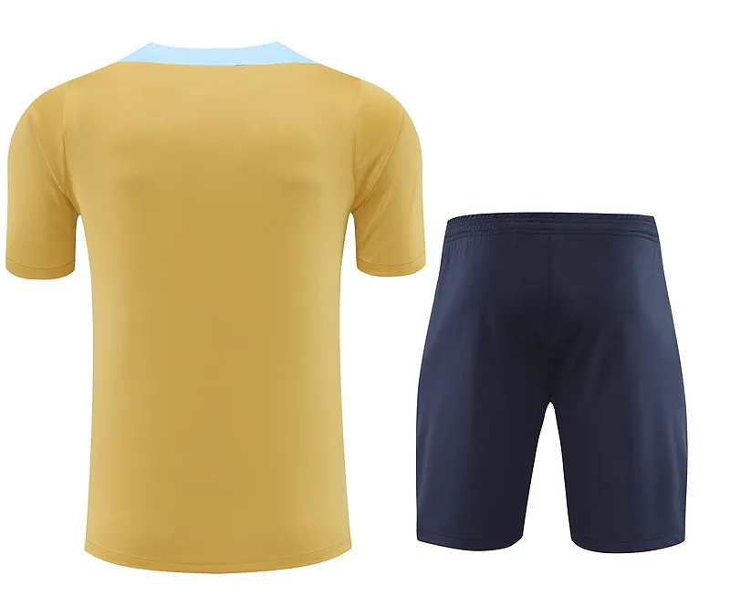 2024 France Training Soccer Jerseys Football Shirts 1
