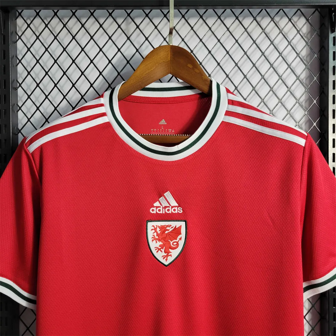 2022 Wales home 9