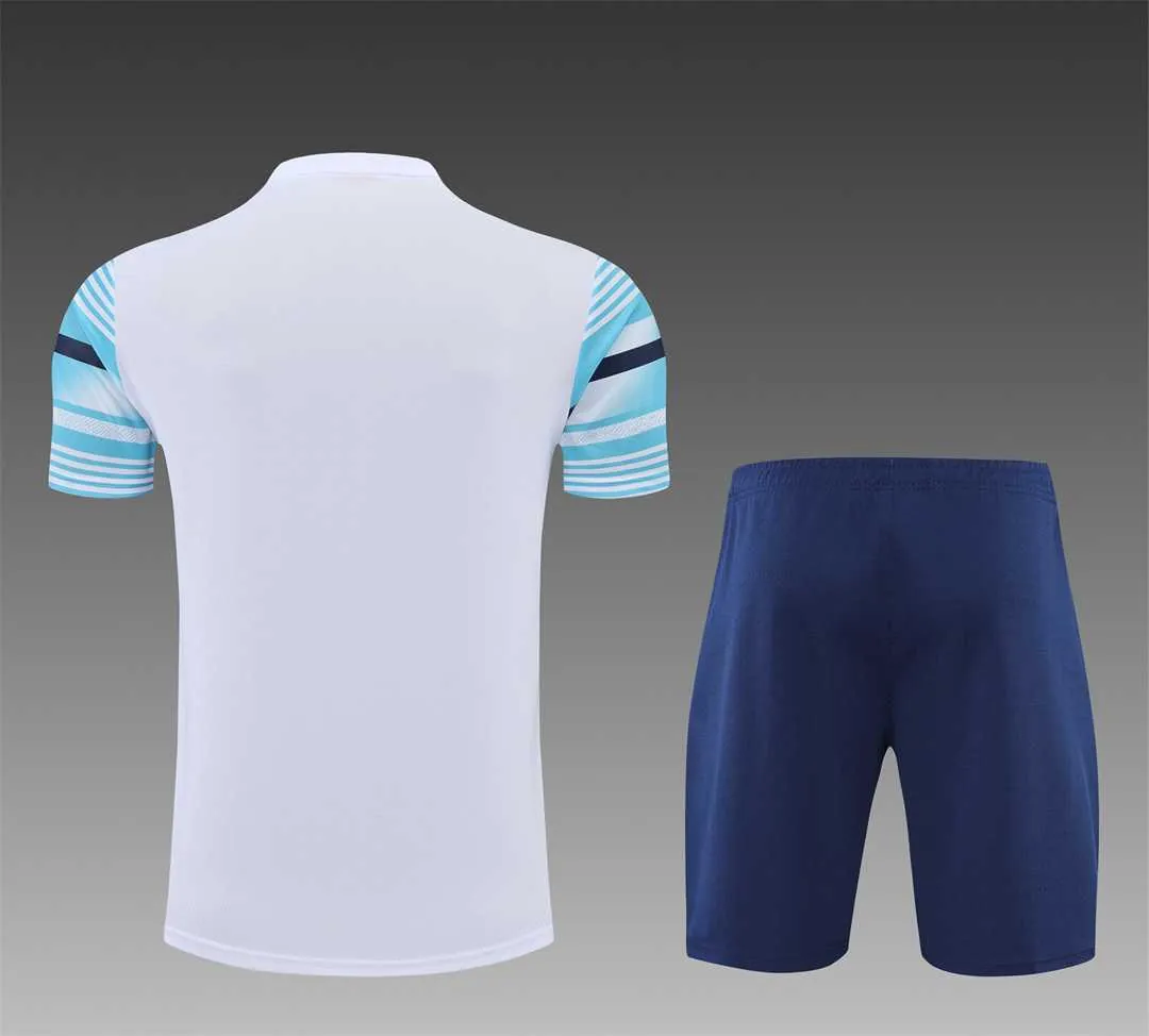 22-23 Manchester City Training Wear Short Sleeve Kit White and Blue Colorblock 8
