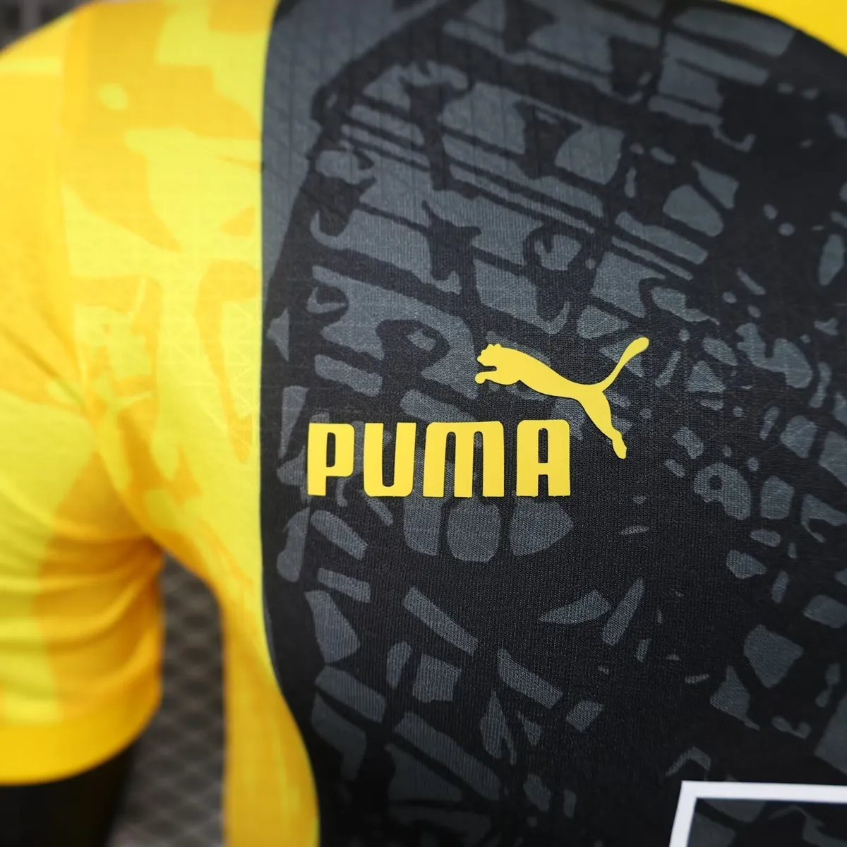 23-24 Dortmund BVB Special Edition Kit Jerseys Supllier Yupoo 5
