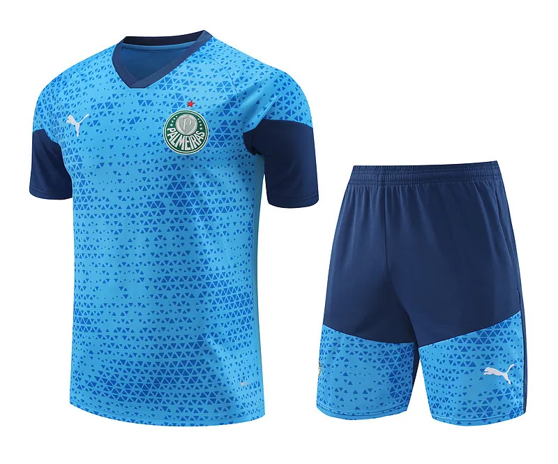 24-25 Palmeiras Training Soccer Jerseys Football Shirts 3