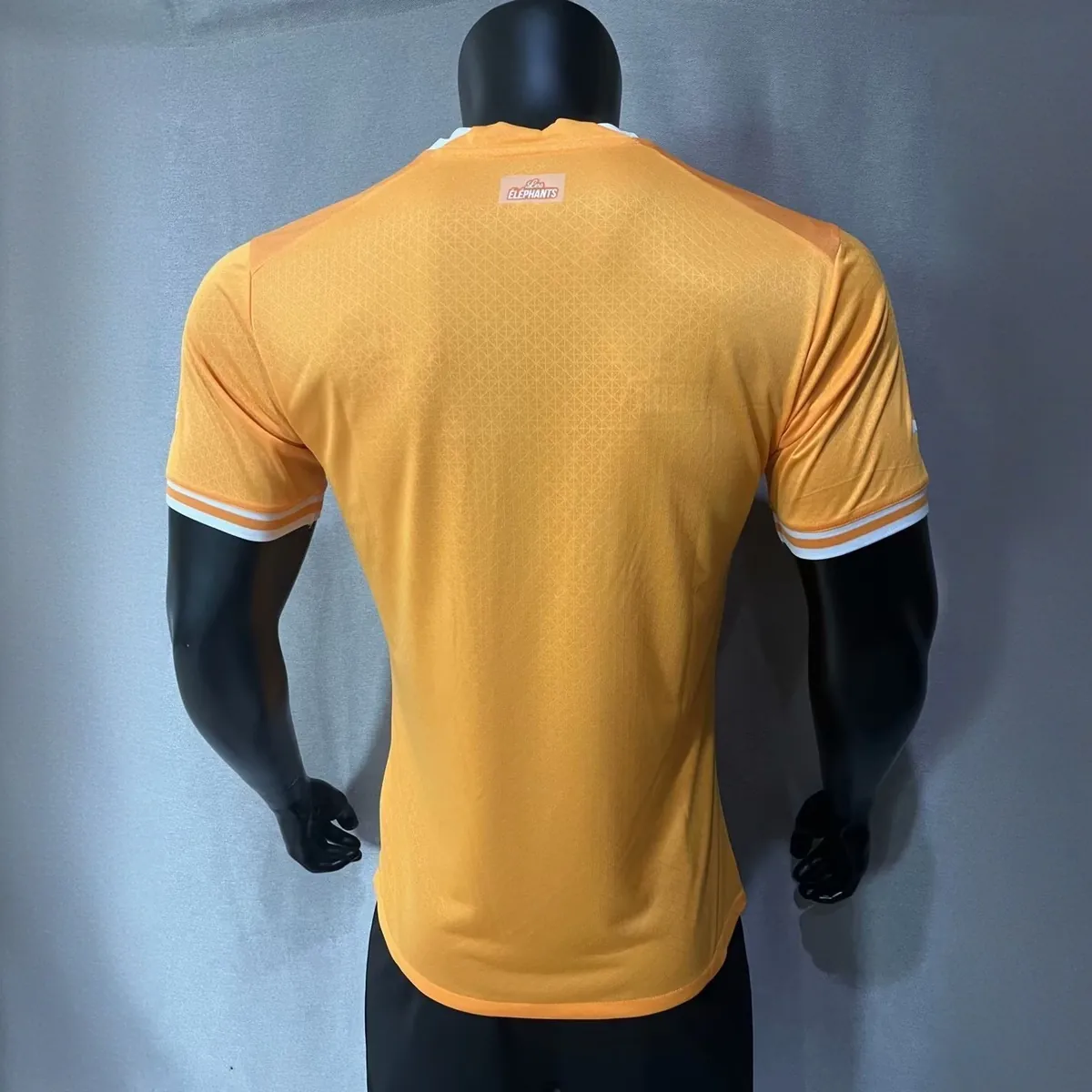 2023 Ivory Coast Home Kit Player Edition Shirts Football AAAAJersey Yupoo 4