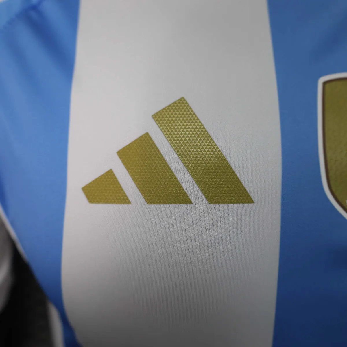 2024 Argentina Home Kit Player Version Shirt Jersey Supplier Yupoo 2