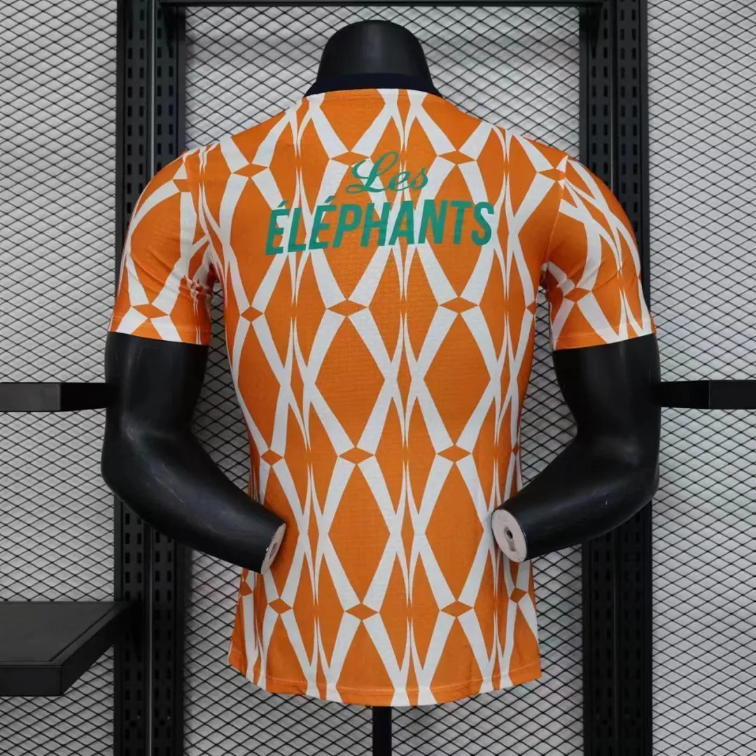 2023 Ivory Coast Training Kit Player Version Shirts Cheap Soccer Jerseys 4