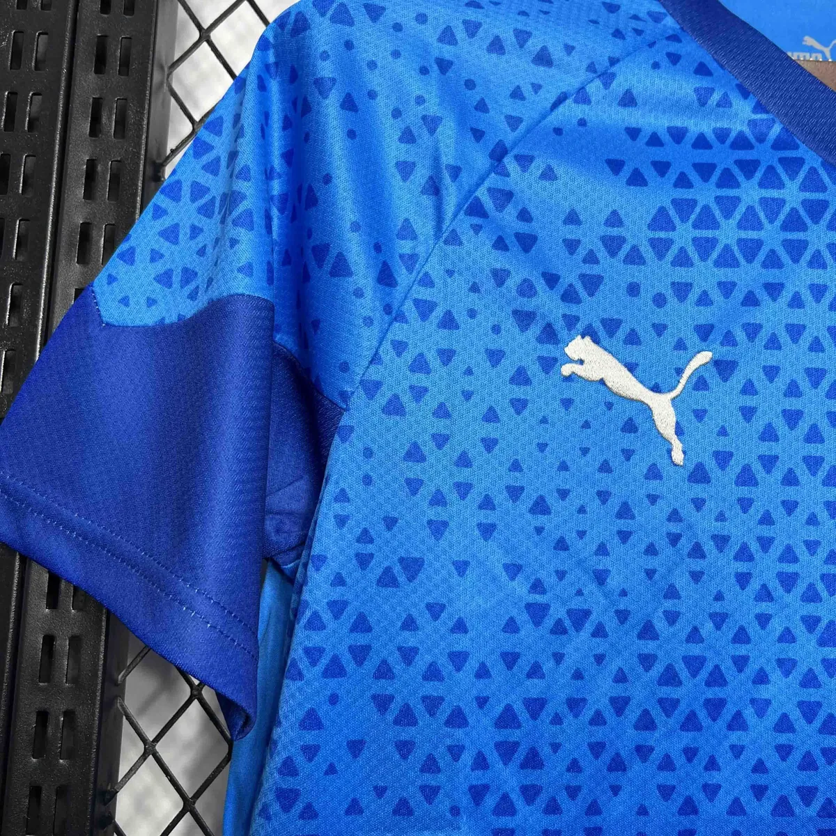 24-25 Palmeiras Goalkeeper Blue Kit Football Uniform AAAAJerseys Dropshipping Yupoo 2