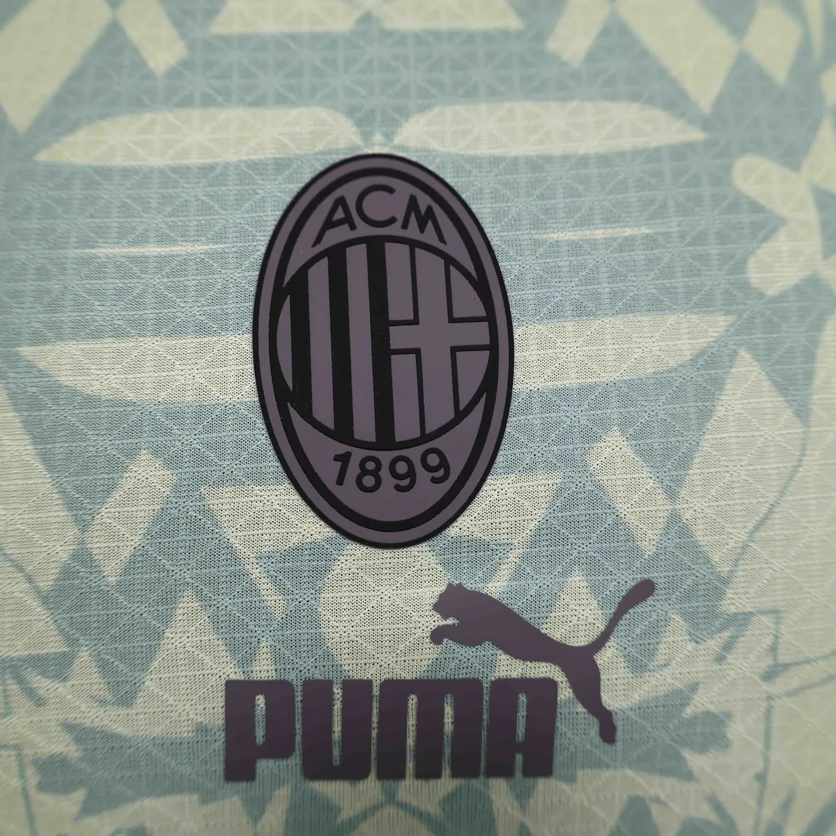 24-25 AC Milan Green Special Edition Player Version Shirt AAAAJersey Supplier Yupoo 2