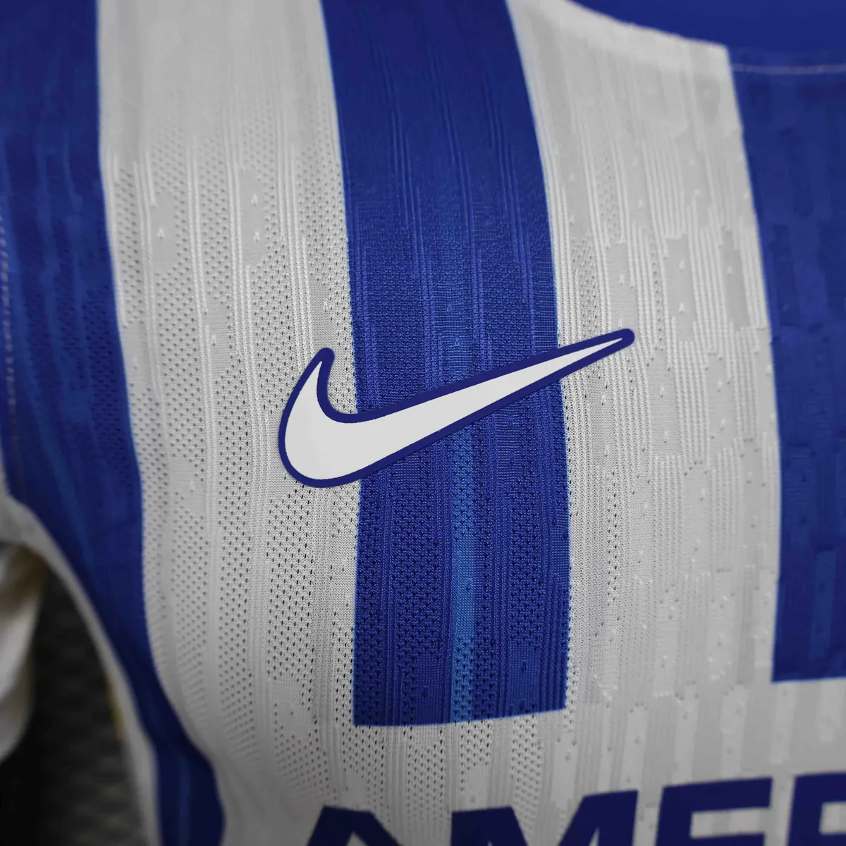 24-25 Brighton Home Kit Player Version Shirt Sport AAAAJersey Yupoo 2