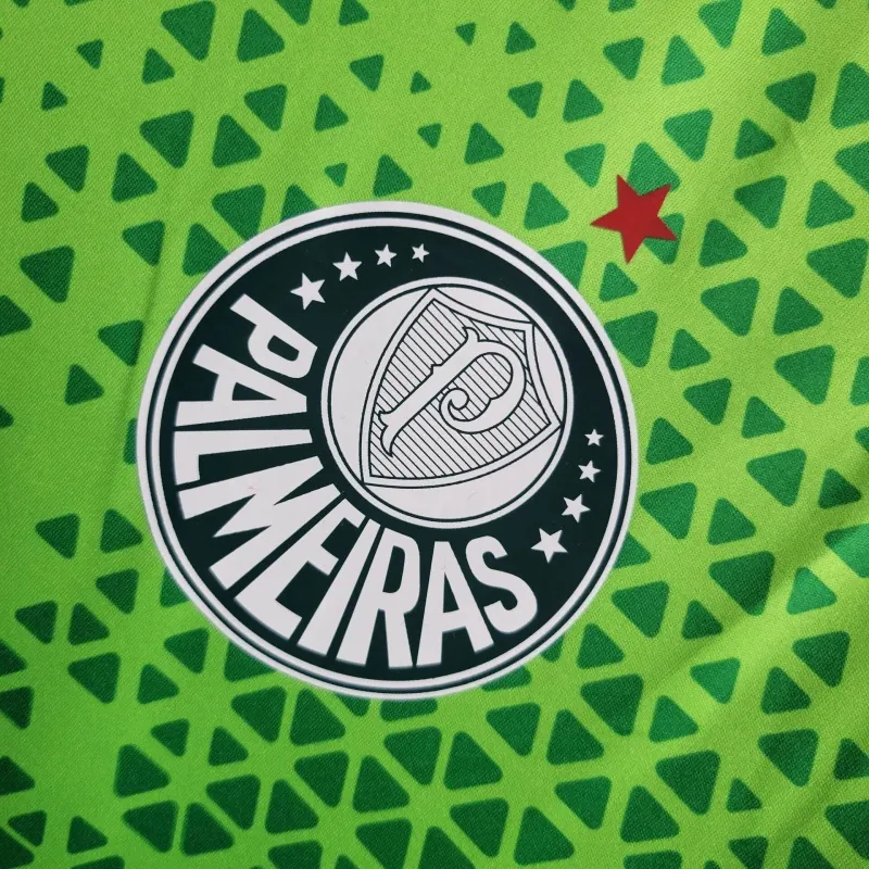 24-25 Palmeiras Training Shirt Football AAAAJersey Yupoo 1