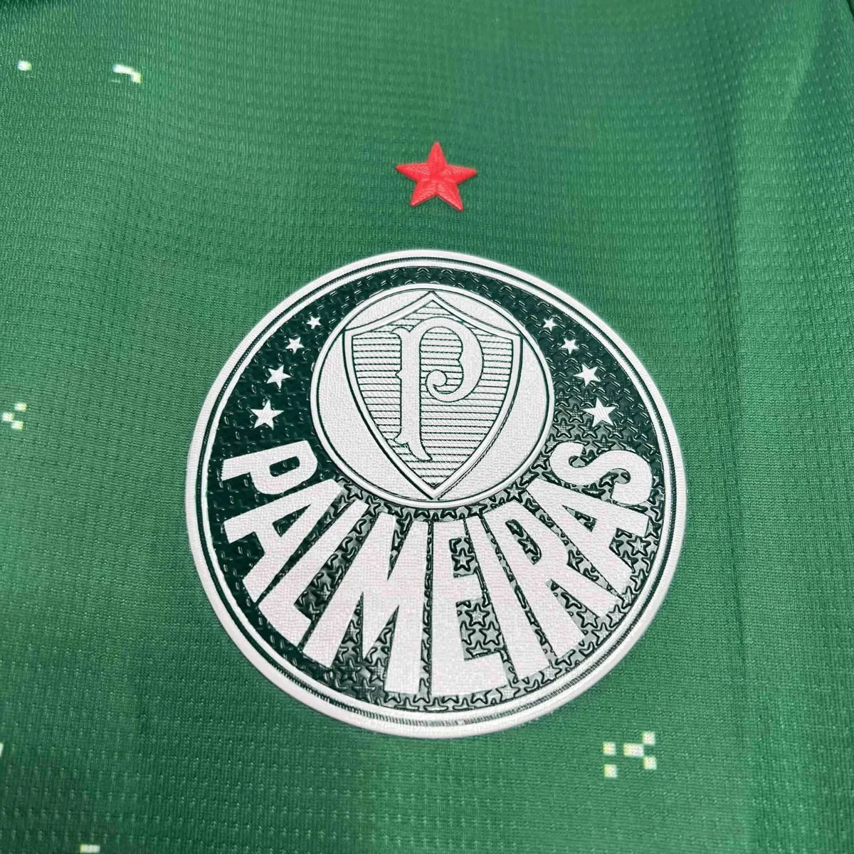 24-25 Palmeiras For a Greener Future Special Edition 2 Kit AAAAJersey Supplier Yupoo 3