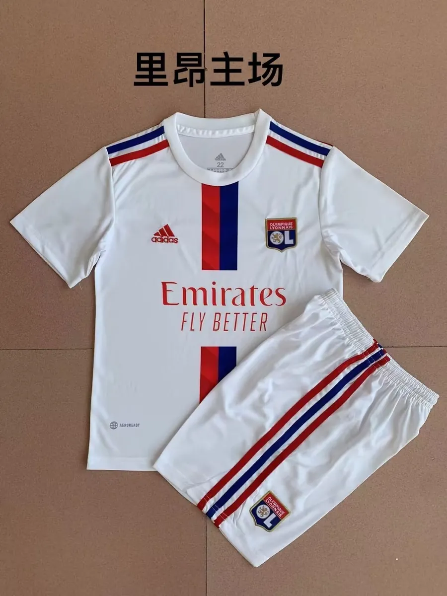 Lyon 8