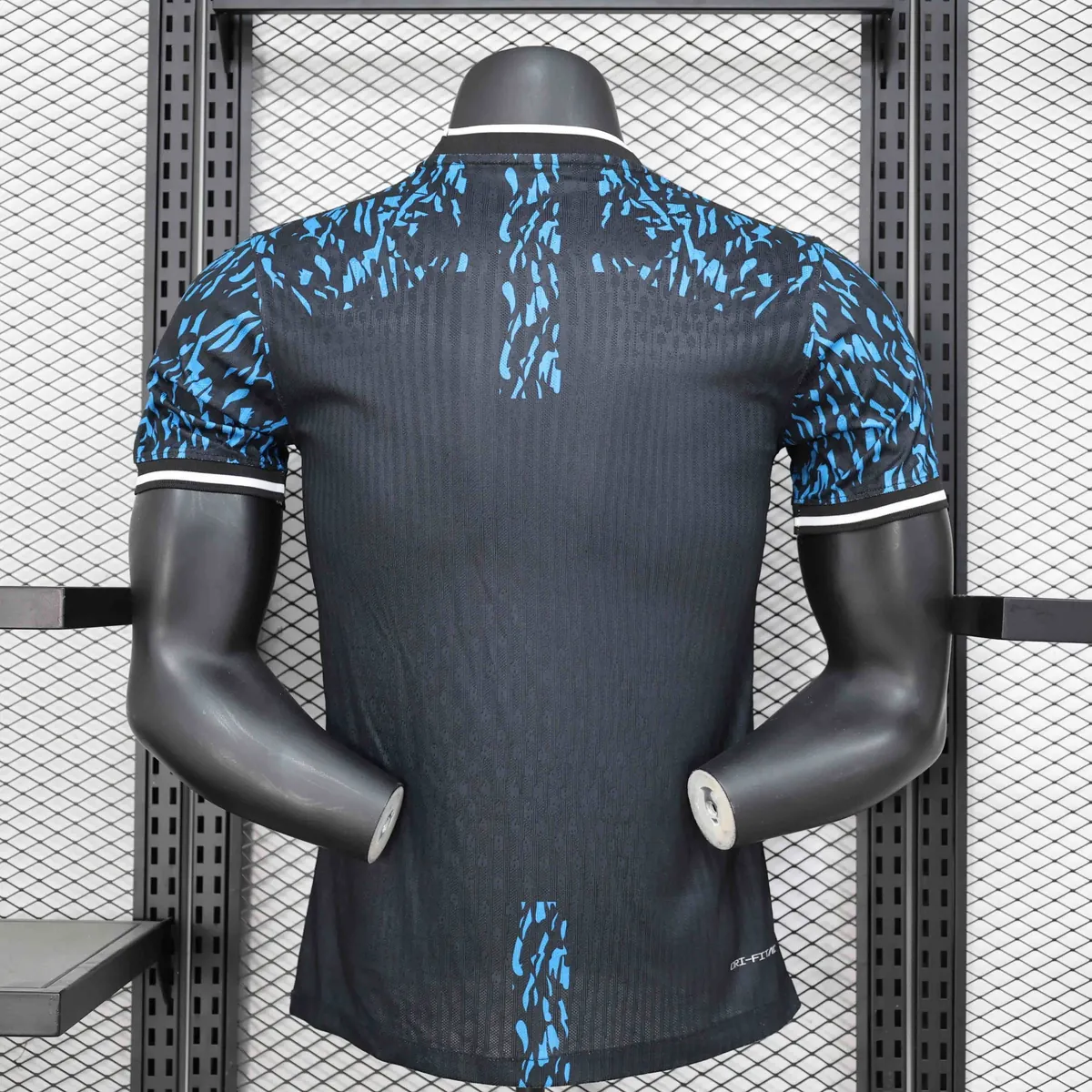 24-25 Barcelona Blue Lion Special Edition Player Version Shirt AAAAJersey Supplier Yupoo 1