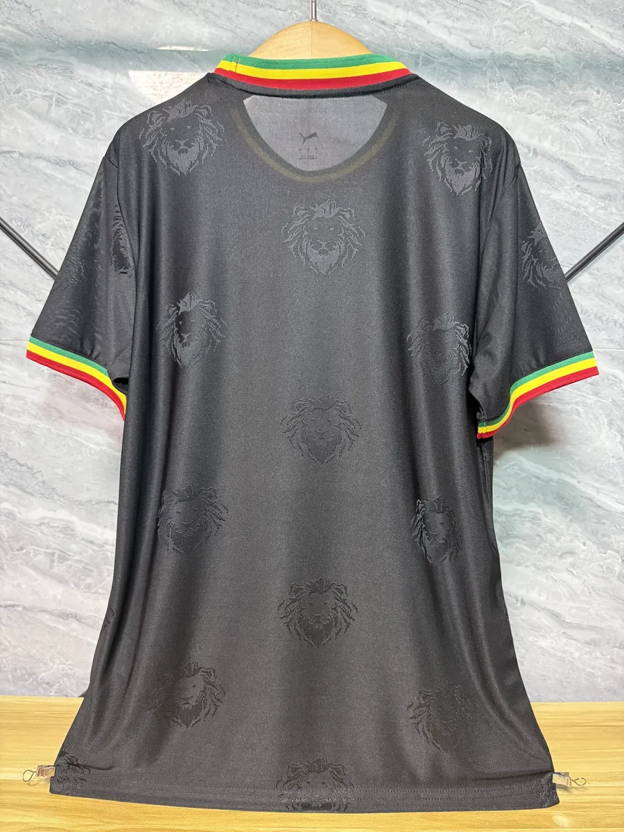 2026 Senegal Special Edition KIt Player Version Soccer T-Shirt AAAAJersey Supply Yupoo-3 4