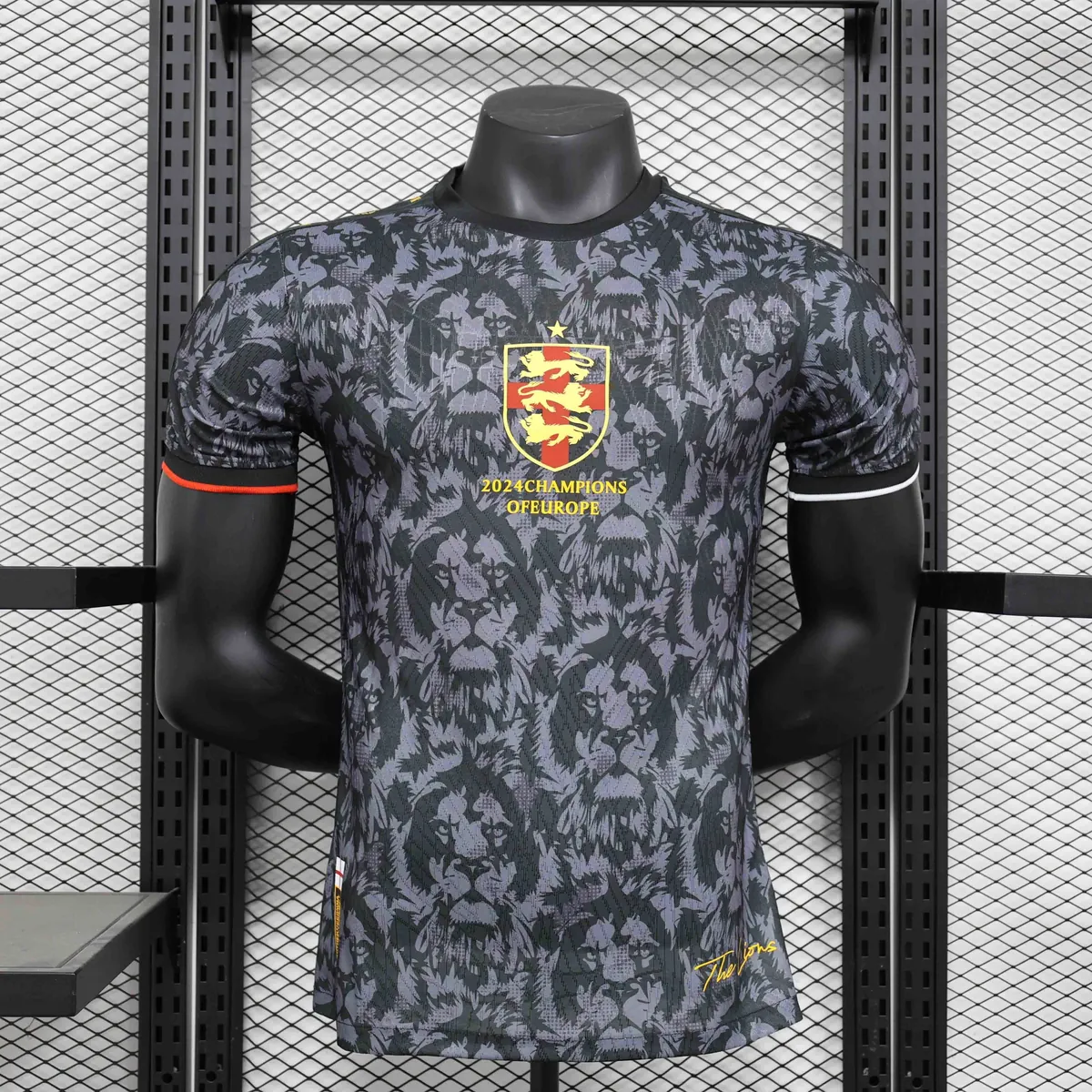 2024 England Grey Lion Special Edition Player Version Shirt AAAAJersey Supplier Yupoo 3