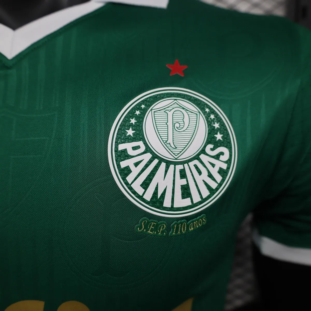 24-25 Palmeiras Home Kit Player Version Shirt Best Jerseys Yupoo 3