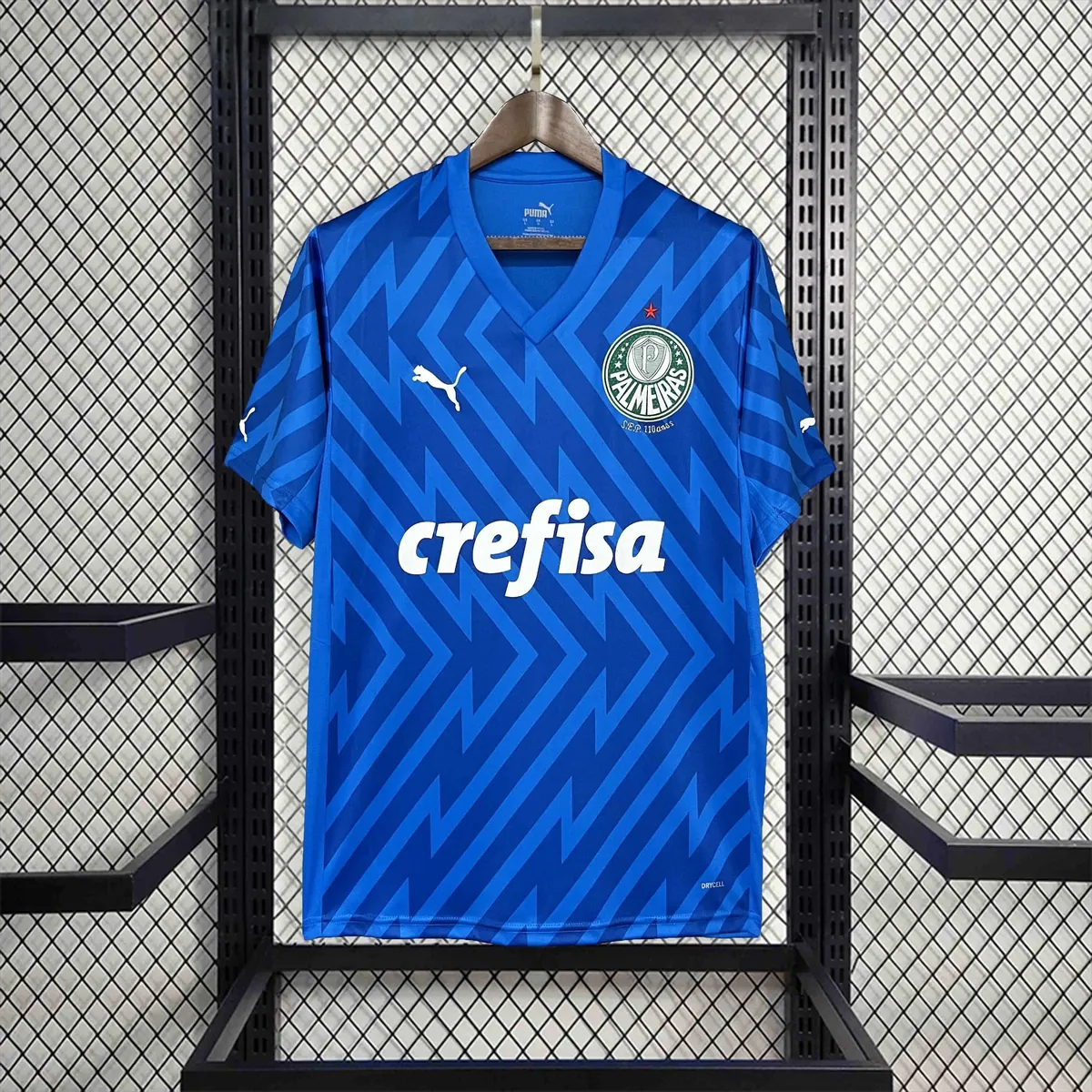 24-25 Palmeiras Goalkeeper Blue Kit Football Replicas Yupoo 11